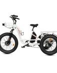 Ecotric Tricycle