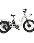 Ecotric Tricycle