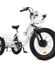 Ecotric Tricycle
