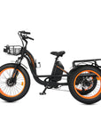 Ecotric Tricycle