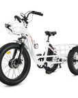 Ecotric Tricycle