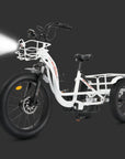 Ecotric Tricycle