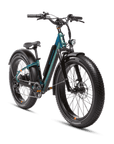 RadRover™ 6 Plus Electric Fat Tire Bike