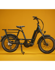 RadRunner™ Max Electric Cargo Utility Bike
