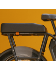 RadRunner™ Plus Electric Cargo Utility Bike