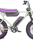 Macfox X1S x Bs.zay Special Edition 750W Electric Bike