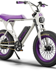 Macfox X1S x Bs.zay Special Edition 750W Electric Bike