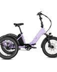 Electric Tricycle XP Trike2