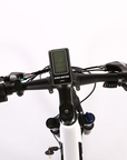 Sedona 48 Volt Step-Through Frame Electric Mountain Bicycle