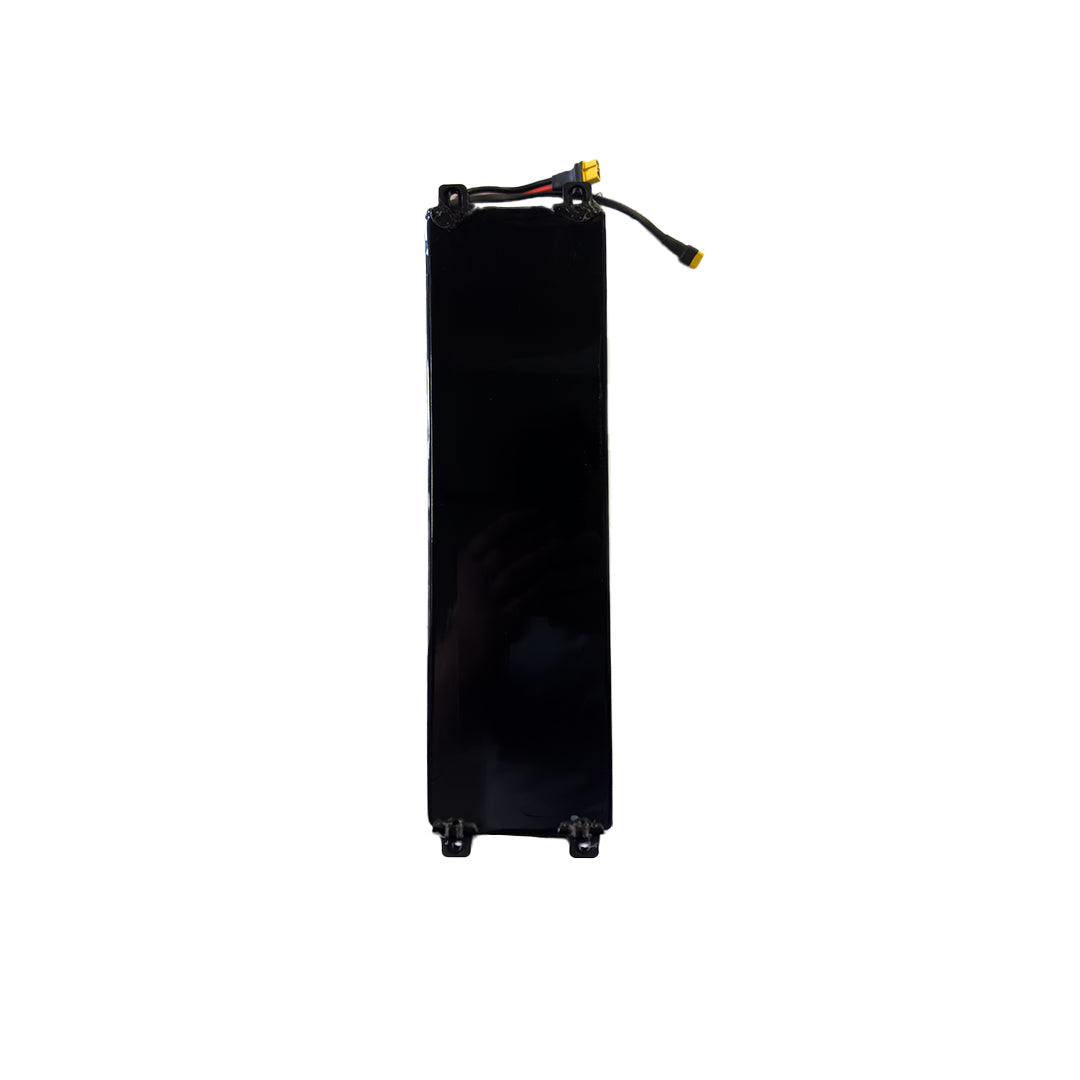 City/City Pro 2023-24 Electric Scooter Battery Assembly 48V 20Ah