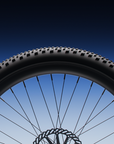 Wayfarer Electric Cruiser Bike