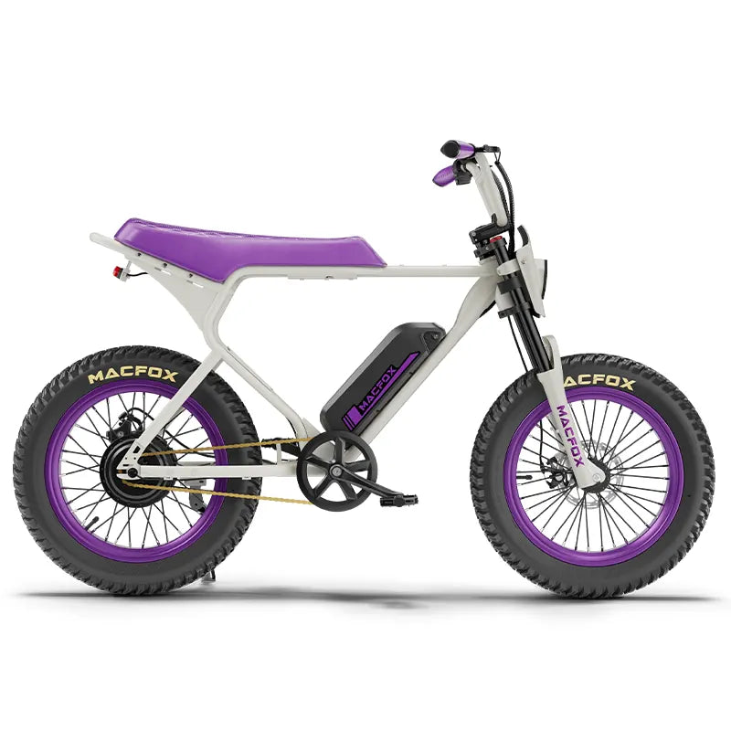 Macfox X1S x Bs.zay Special Edition 750W Electric Bike