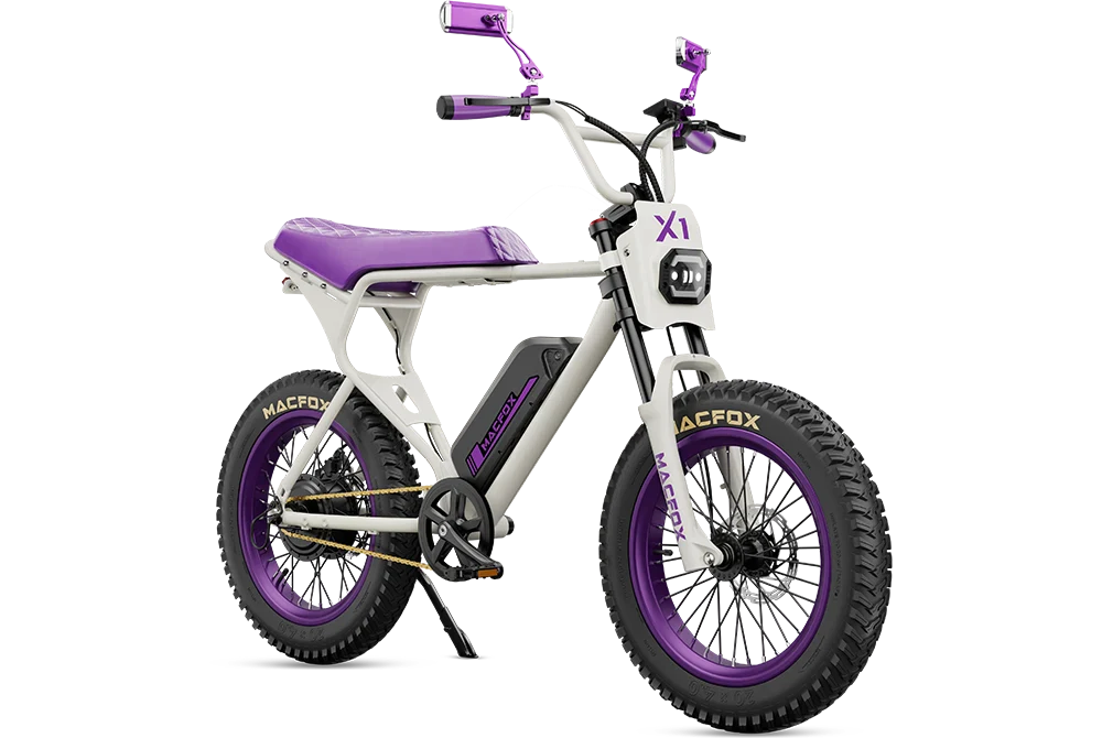 Macfox X1S x Bs.zay Special Edition 750W Electric Bike