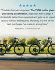 XPress2 Commuter Electric Bike 750W Motor Tempest Grey