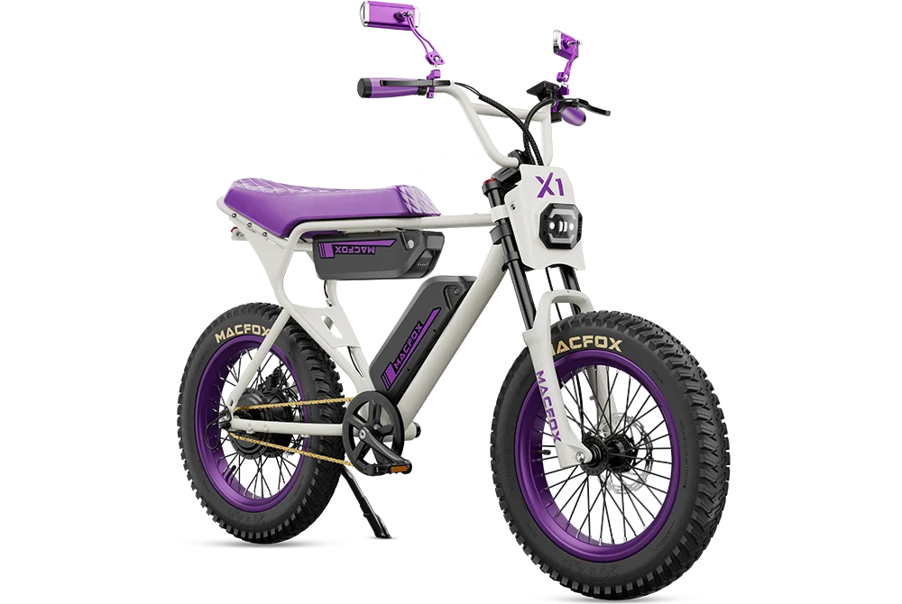 Macfox X1S x Bs.zay Special Edition 750W Electric Bike