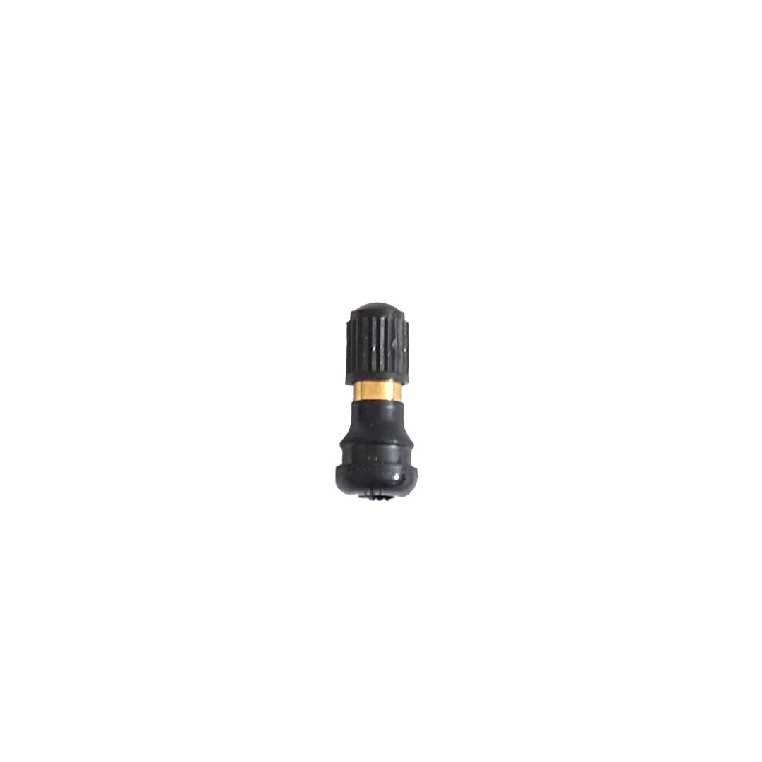 GO Regular 2024 Tire Valve Assembly Replacement for Electric Scooter