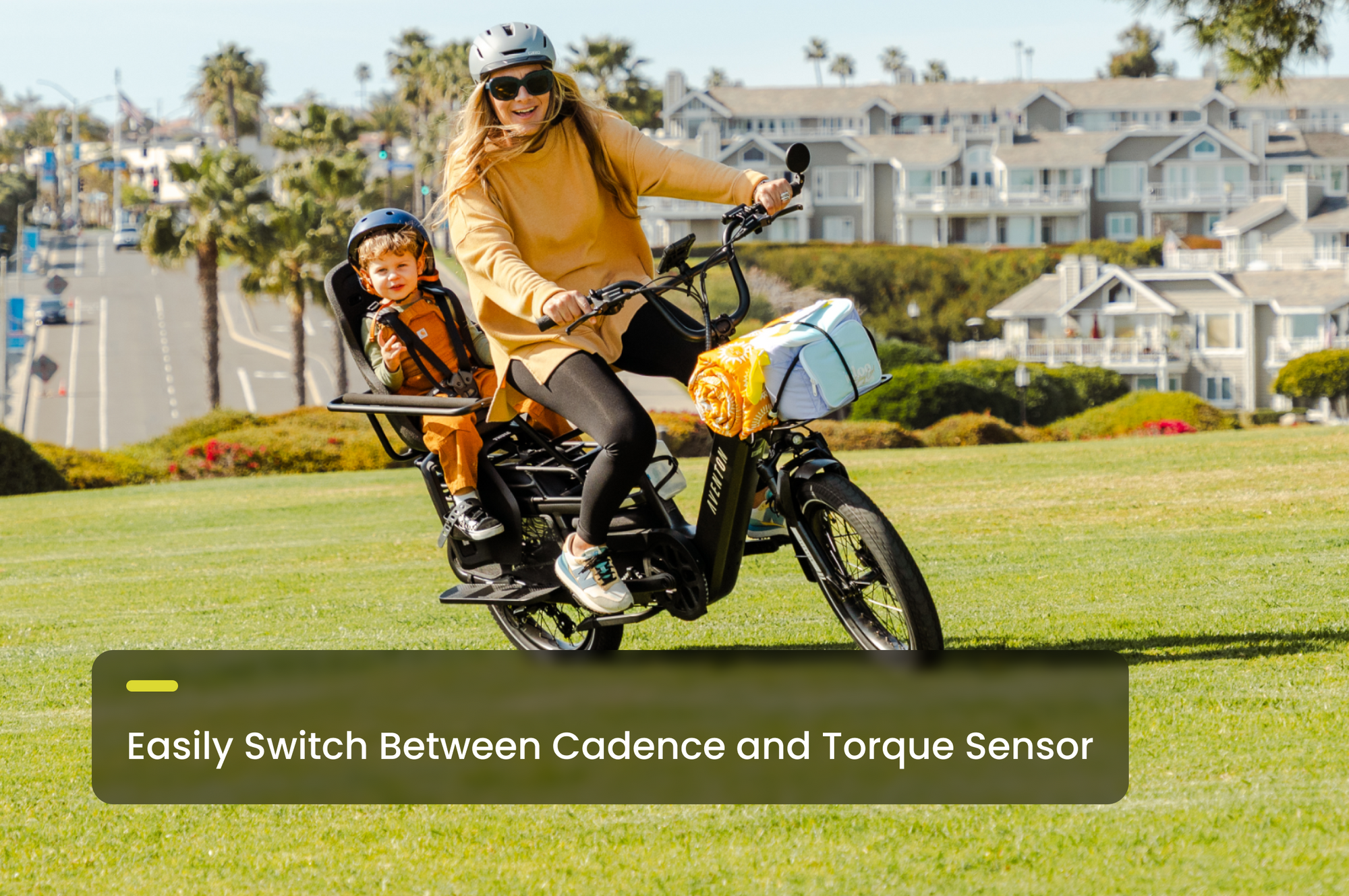 Aventon Abound LR Cargo E‑Bike with 750W Motor