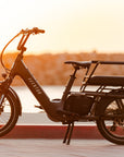 Aventon Abound LR Cargo E‑Bike with 750W Motor