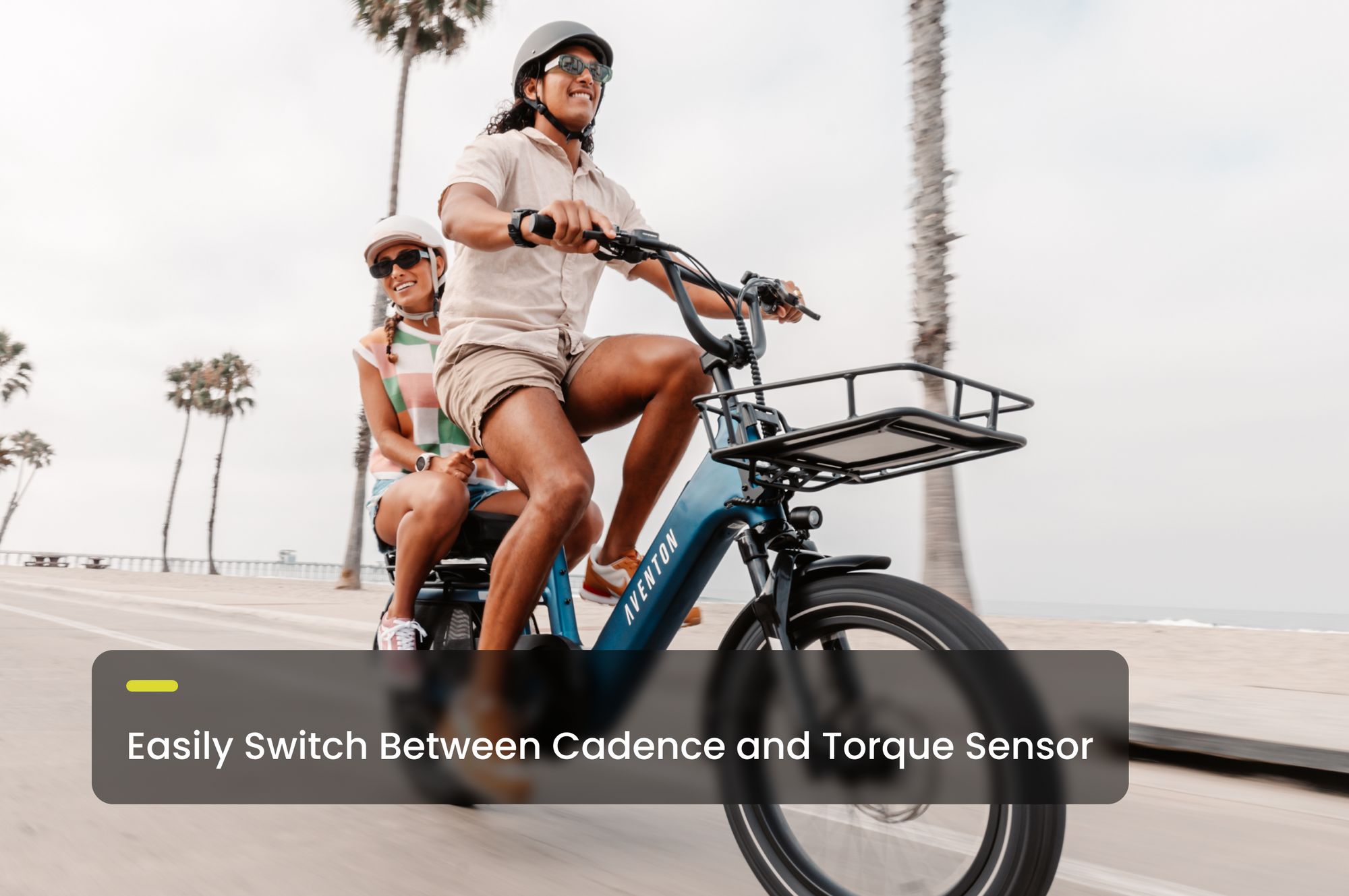 Abound SR Cargo E‑Bike – 750W Power, 60‑Mile Range, 440 lb Capacity