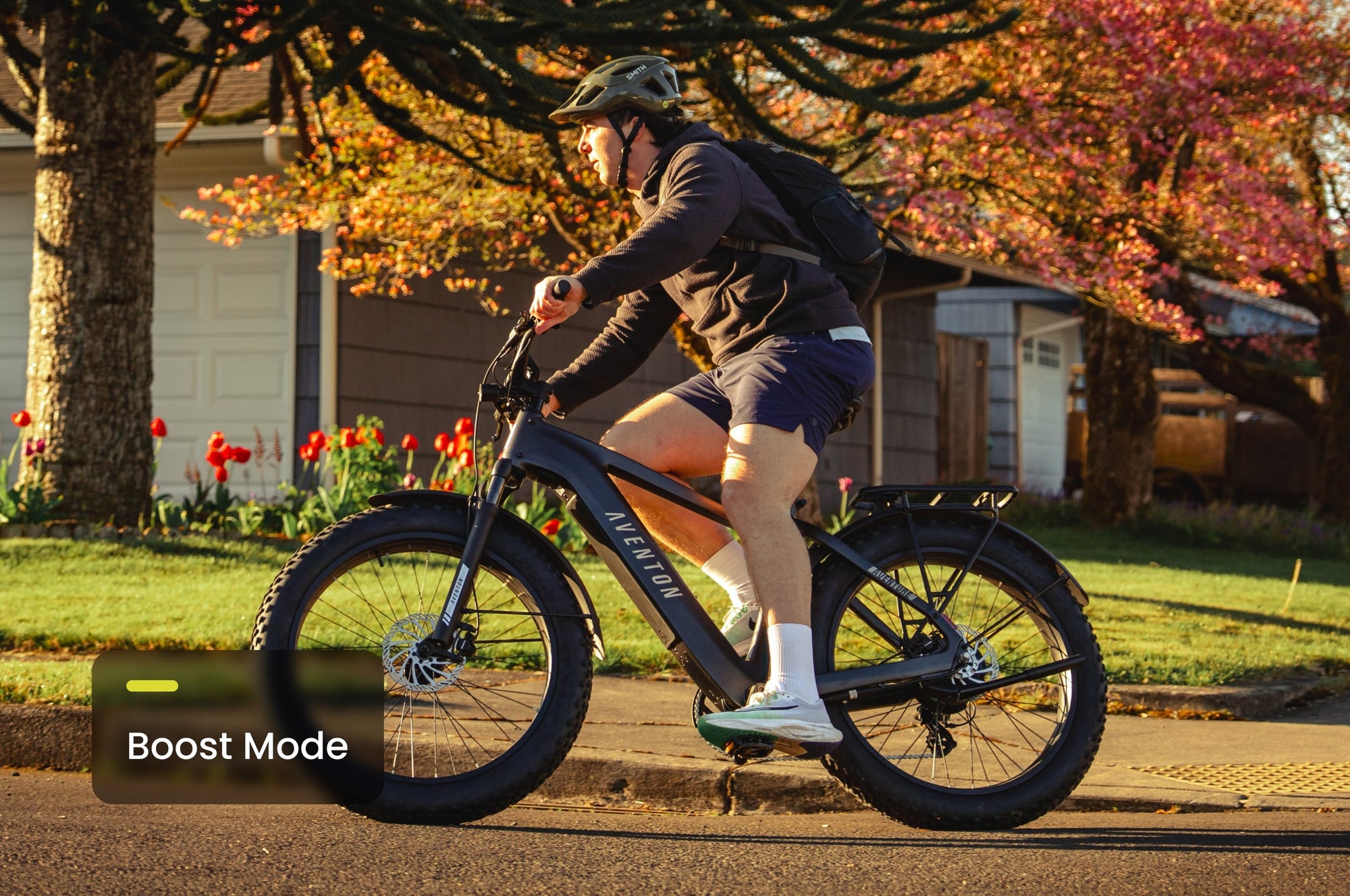 Aventon Aventure 3 Step-Through Fat Tire Electric Bike 750W 65‑Mile