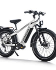 Himiway D5 Pro | Premium All-terrain Electric Fat Bike