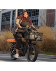 RadRunner™ Max Electric Cargo Utility Bike
