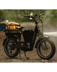 RadRunner™ Max Electric Cargo Utility Bike