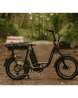 RadRunner™ Plus Electric Cargo Utility Bike