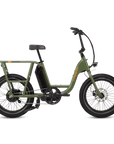 Electric Cargo Utility Bike