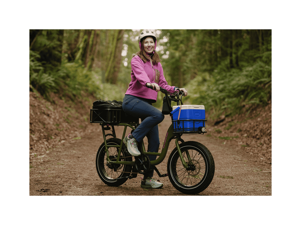 Electric Cargo Utility Bike