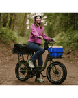 Electric Cargo Utility Bike