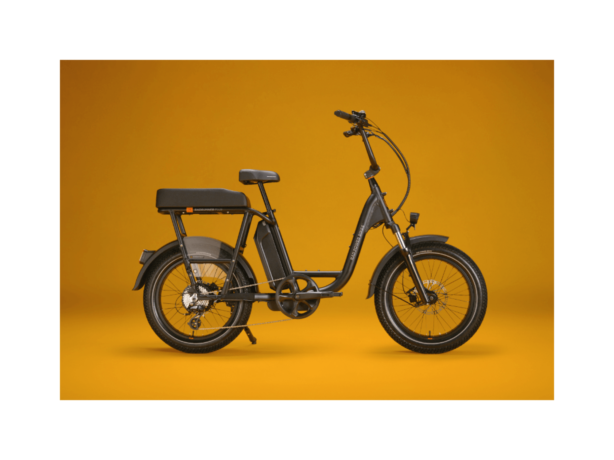 RadRunner™ Plus Electric Cargo Utility Bike