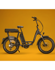 RadRunner™ Plus Electric Cargo Utility Bike