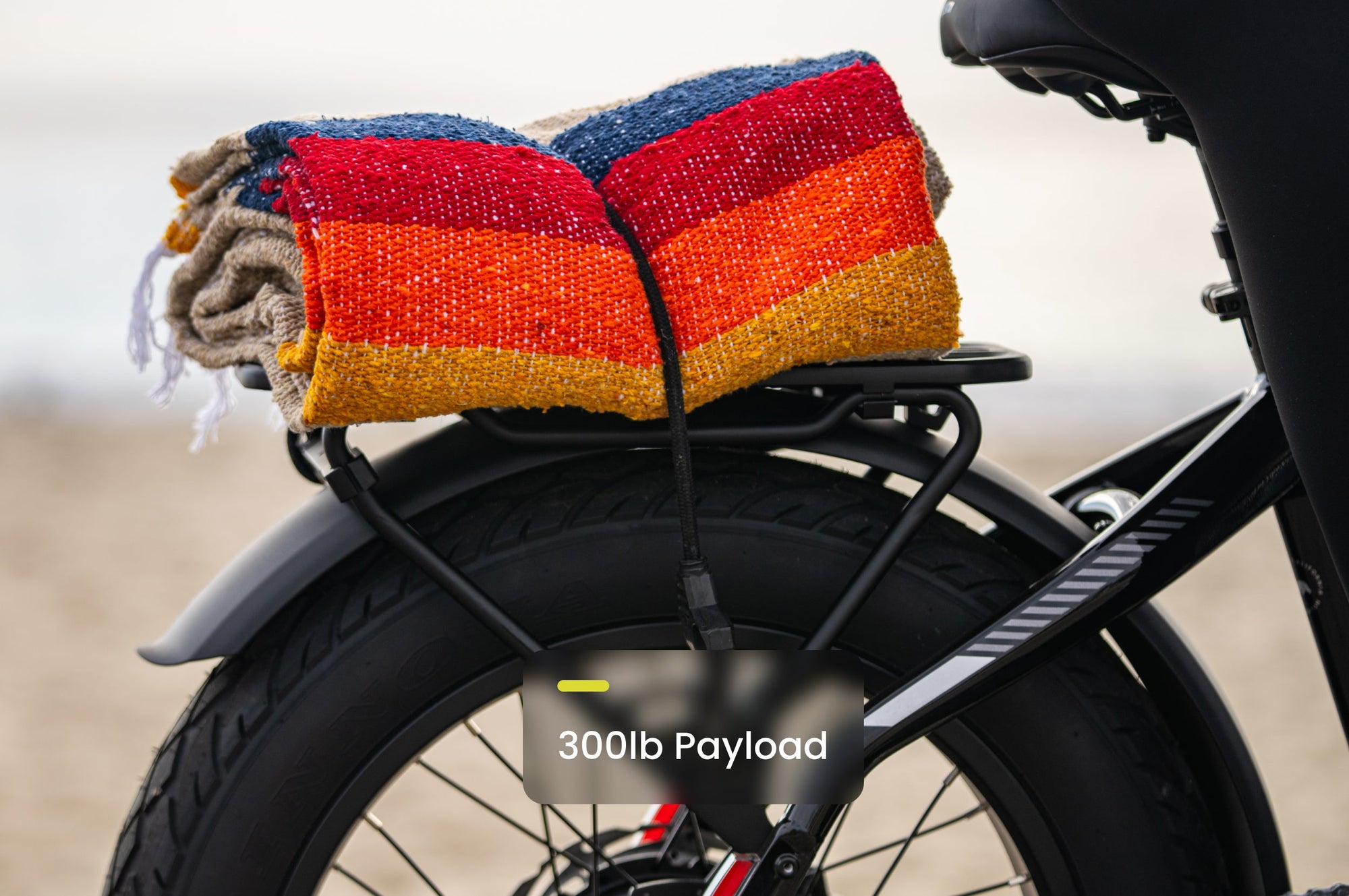 Sinch 2.5 Foldable Electric Bike with Hydraulic Disc Brakes