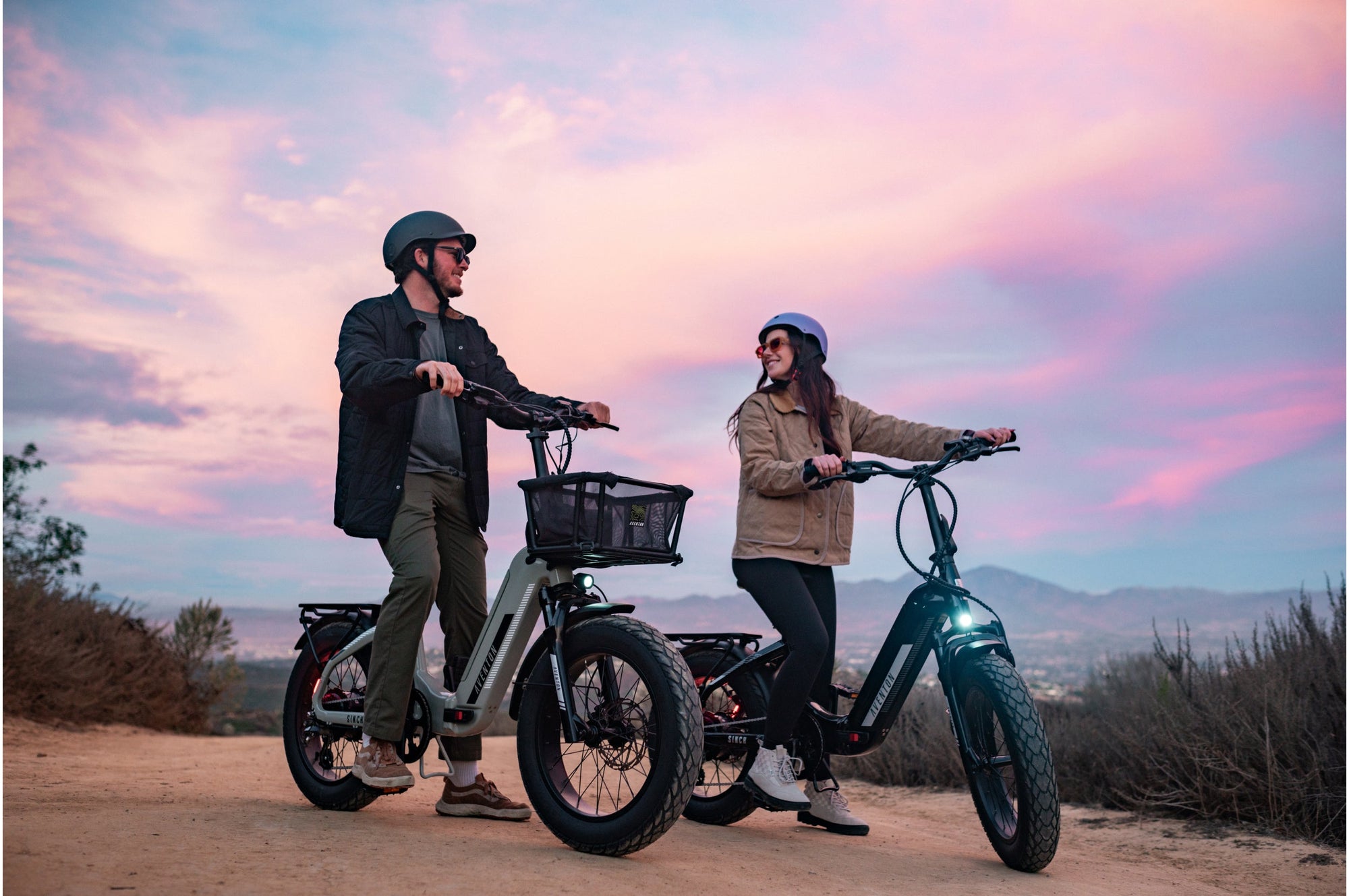 Sinch 2.5 Foldable Electric Bike with Hydraulic Disc Brakes