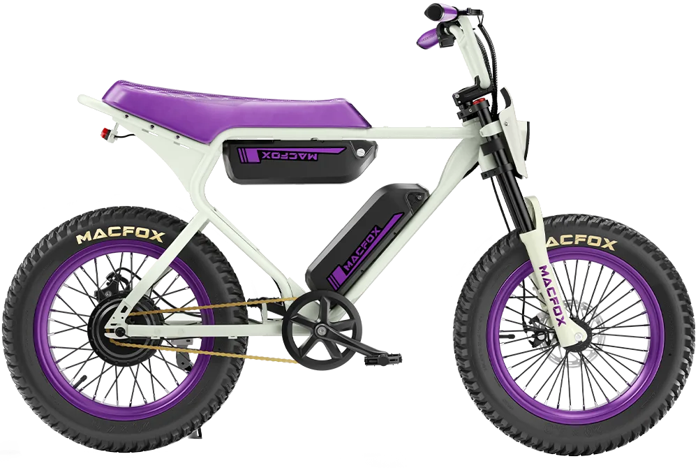 Macfox X1S x Bs.zay Special Edition 750W Electric Bike