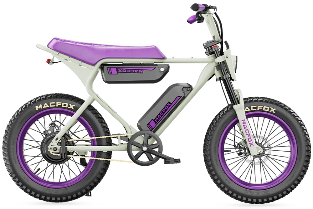 Macfox X1S x Bs.zay Special Edition 750W Electric Bike
