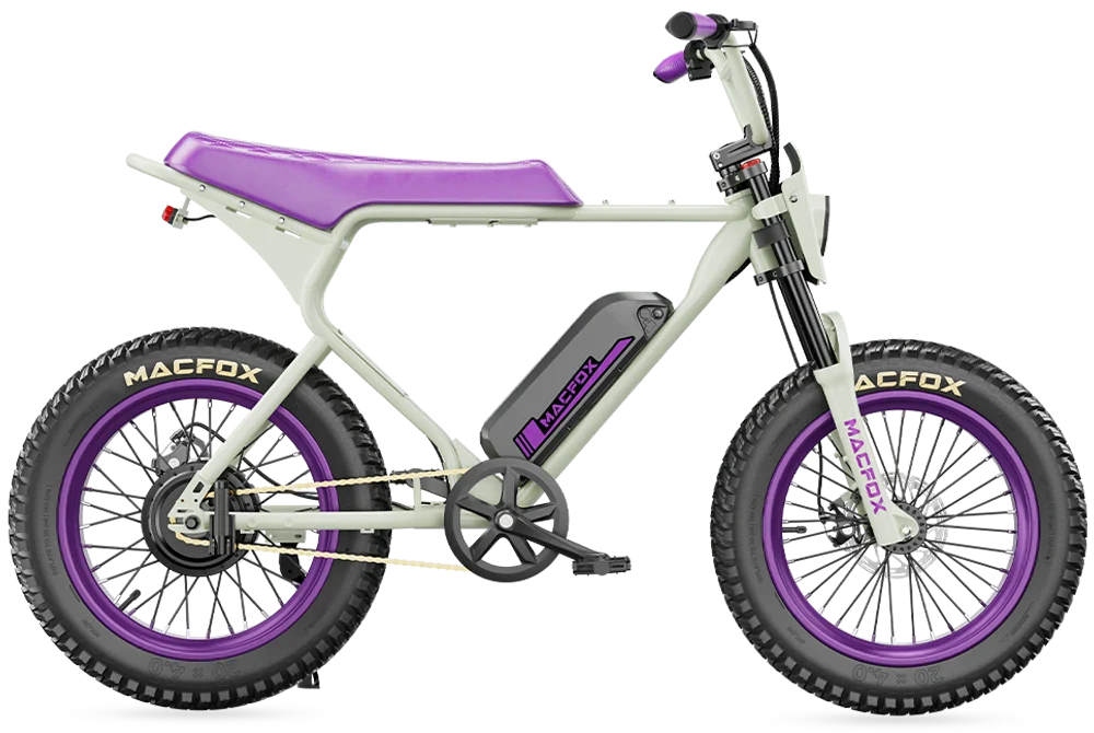 Macfox X1S x Bs.zay Special Edition 750W Electric Bike