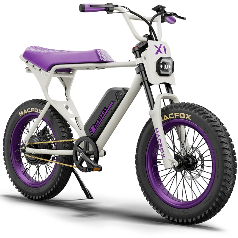 Macfox X1S x Bs.zay Special Edition 750W Electric Bike