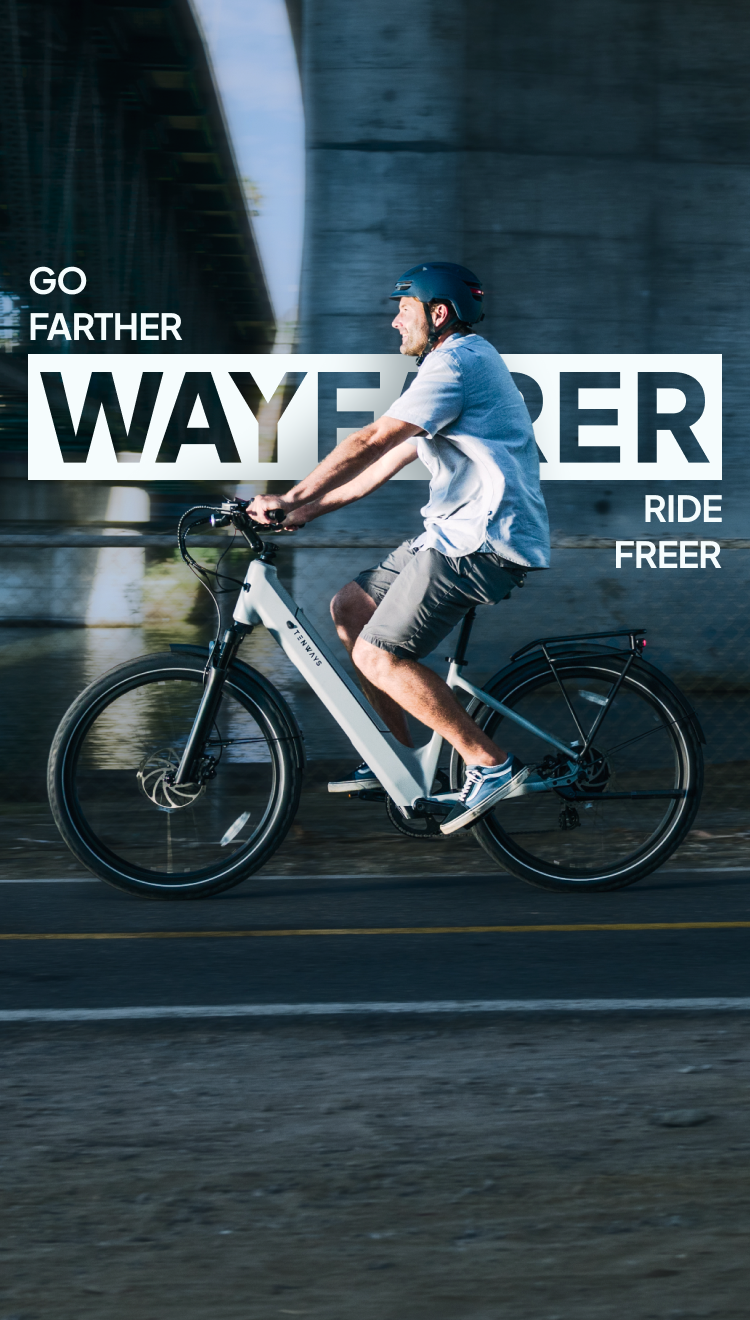 Wayfarer Electric Cruiser Bike