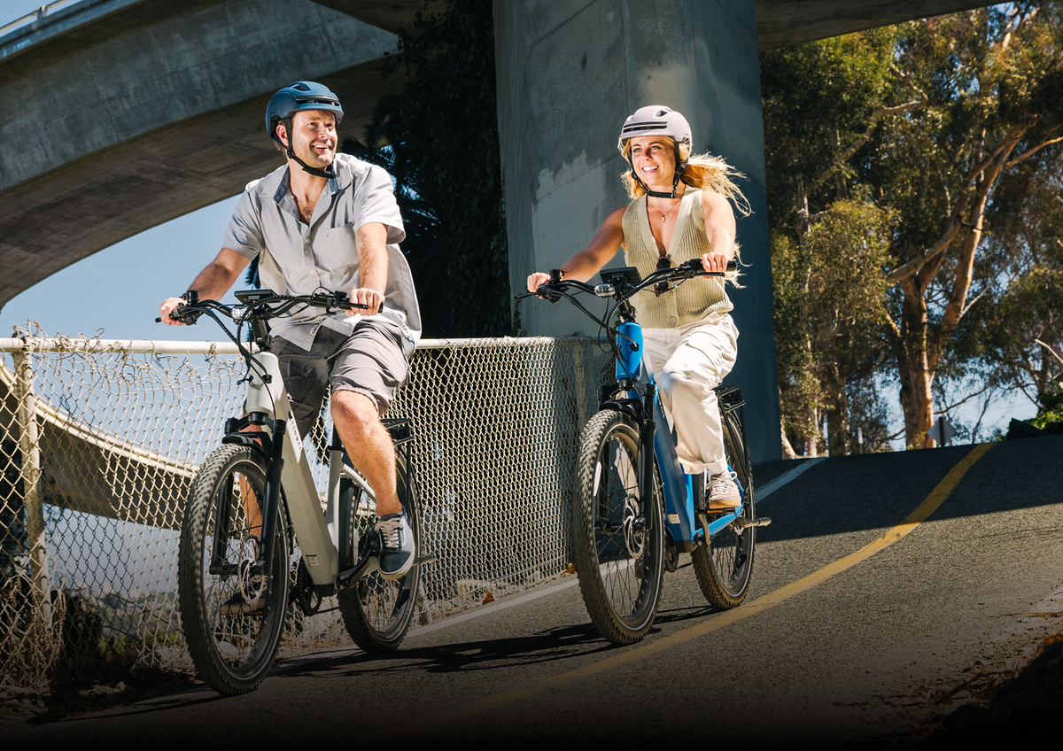 Wayfarer Electric Cruiser Bike