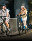 Wayfarer Electric Cruiser Bike