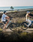 Wayfarer Electric Cruiser Bike
