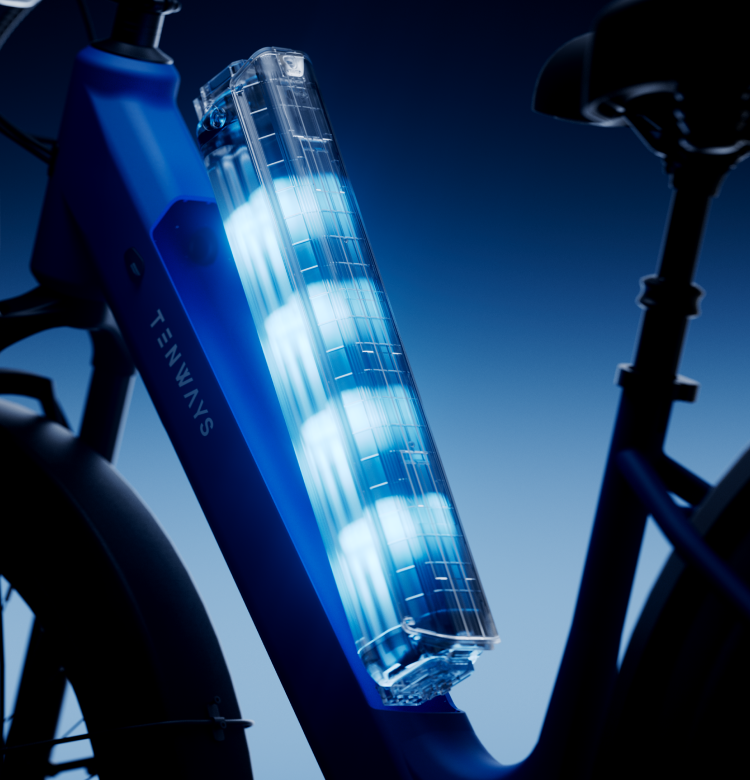 Wayfarer Electric Cruiser Bike