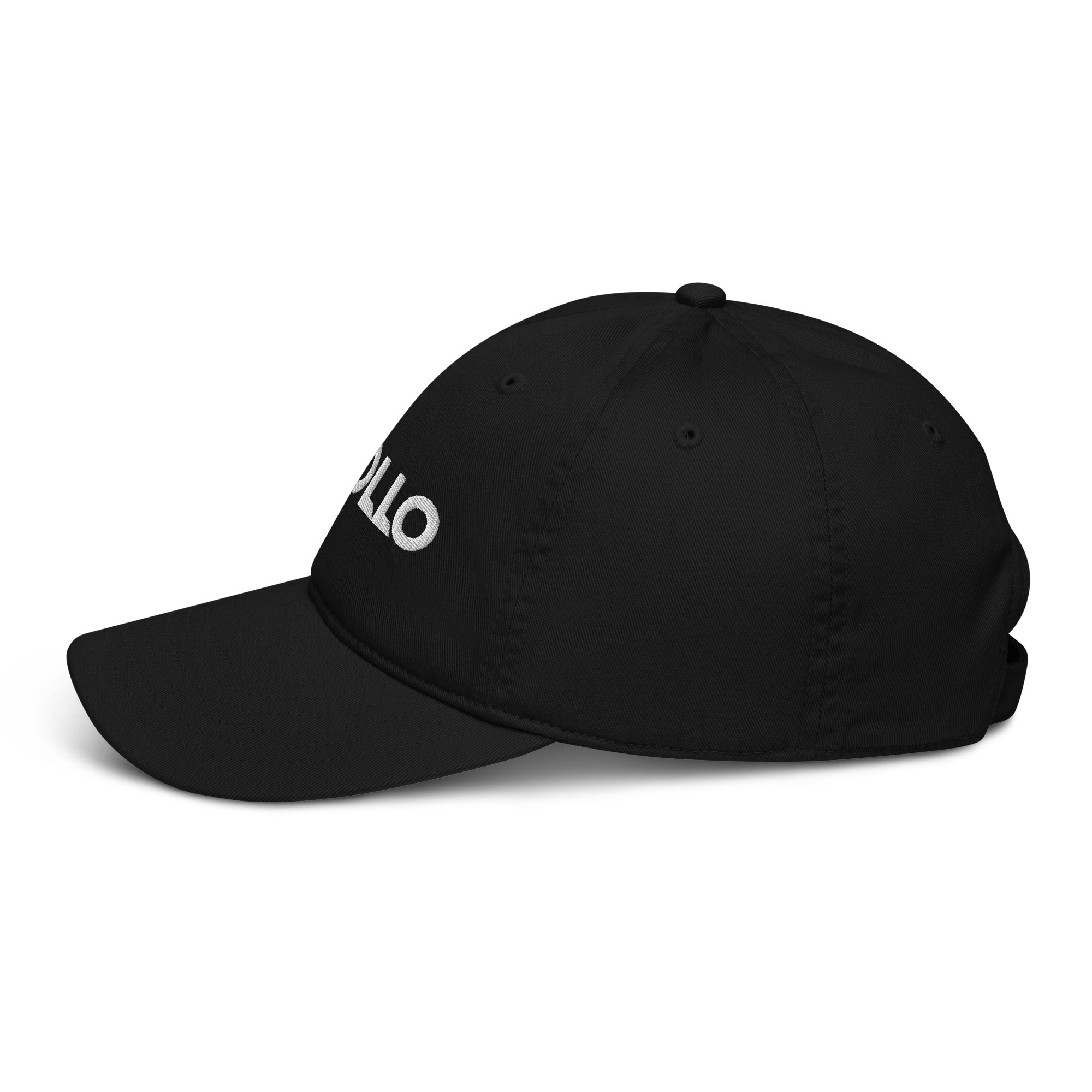Organic Cotton Dad Hat 6-Panel Adjustable Baseball Cap