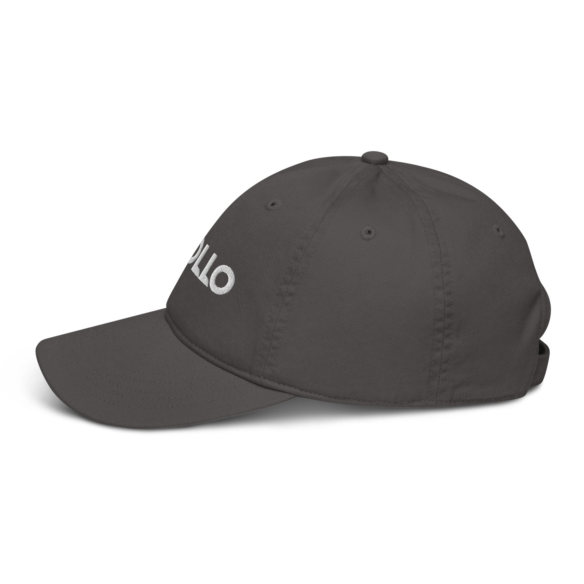 Organic Cotton Dad Hat 6-Panel Adjustable Baseball Cap