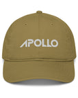 Organic Cotton Dad Hat 6-Panel Adjustable Baseball Cap