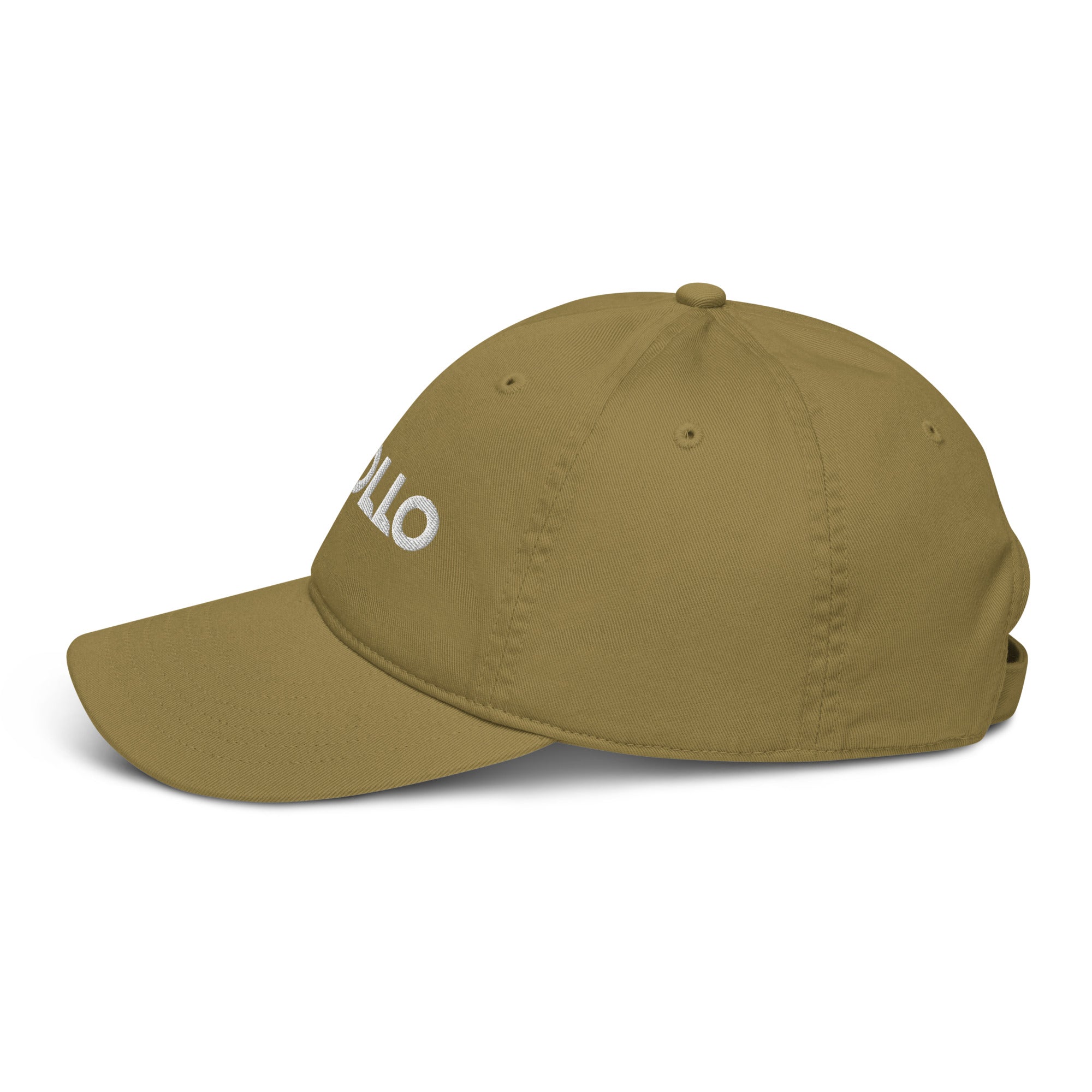 Organic Cotton Dad Hat 6-Panel Adjustable Baseball Cap