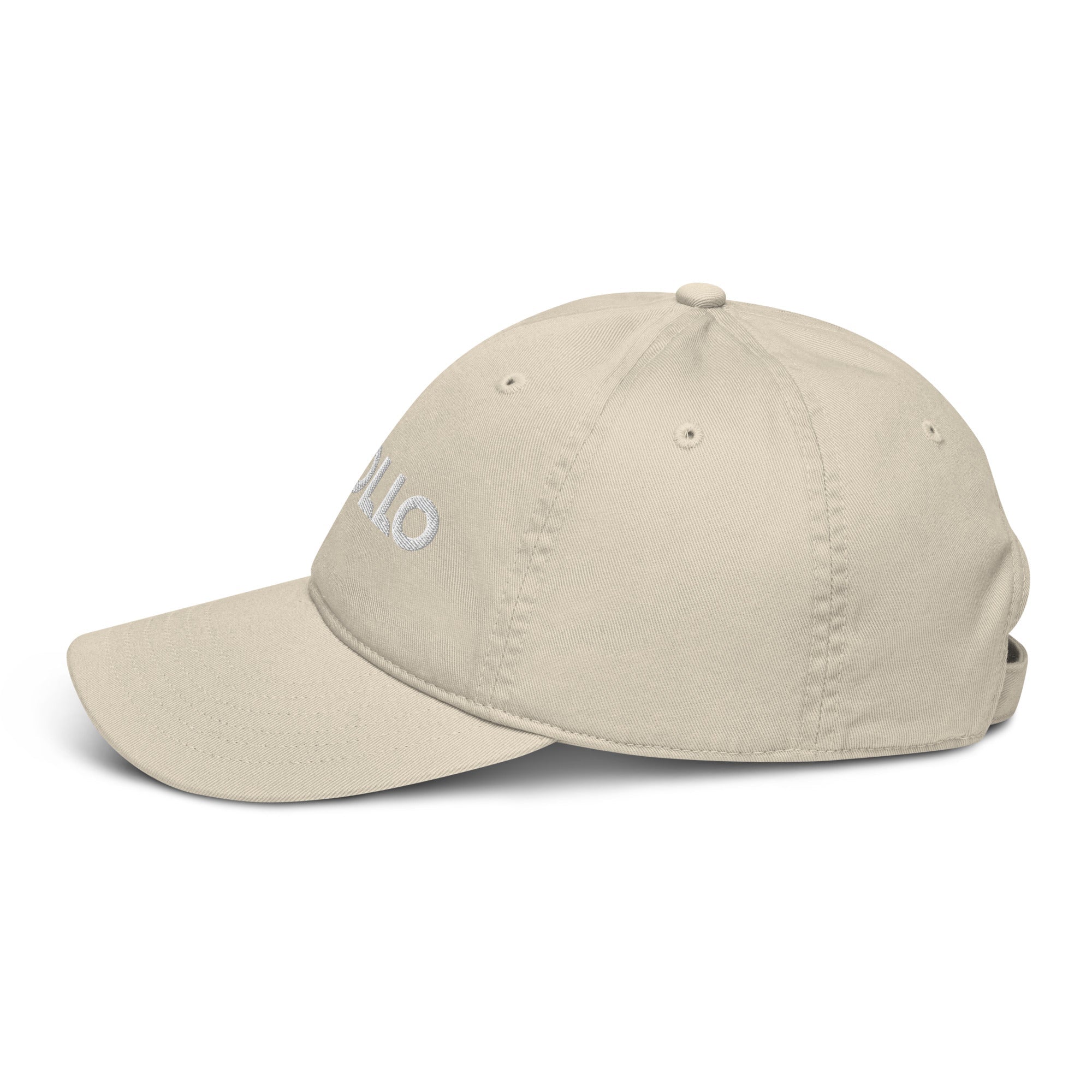 Organic Cotton Dad Hat 6-Panel Adjustable Baseball Cap