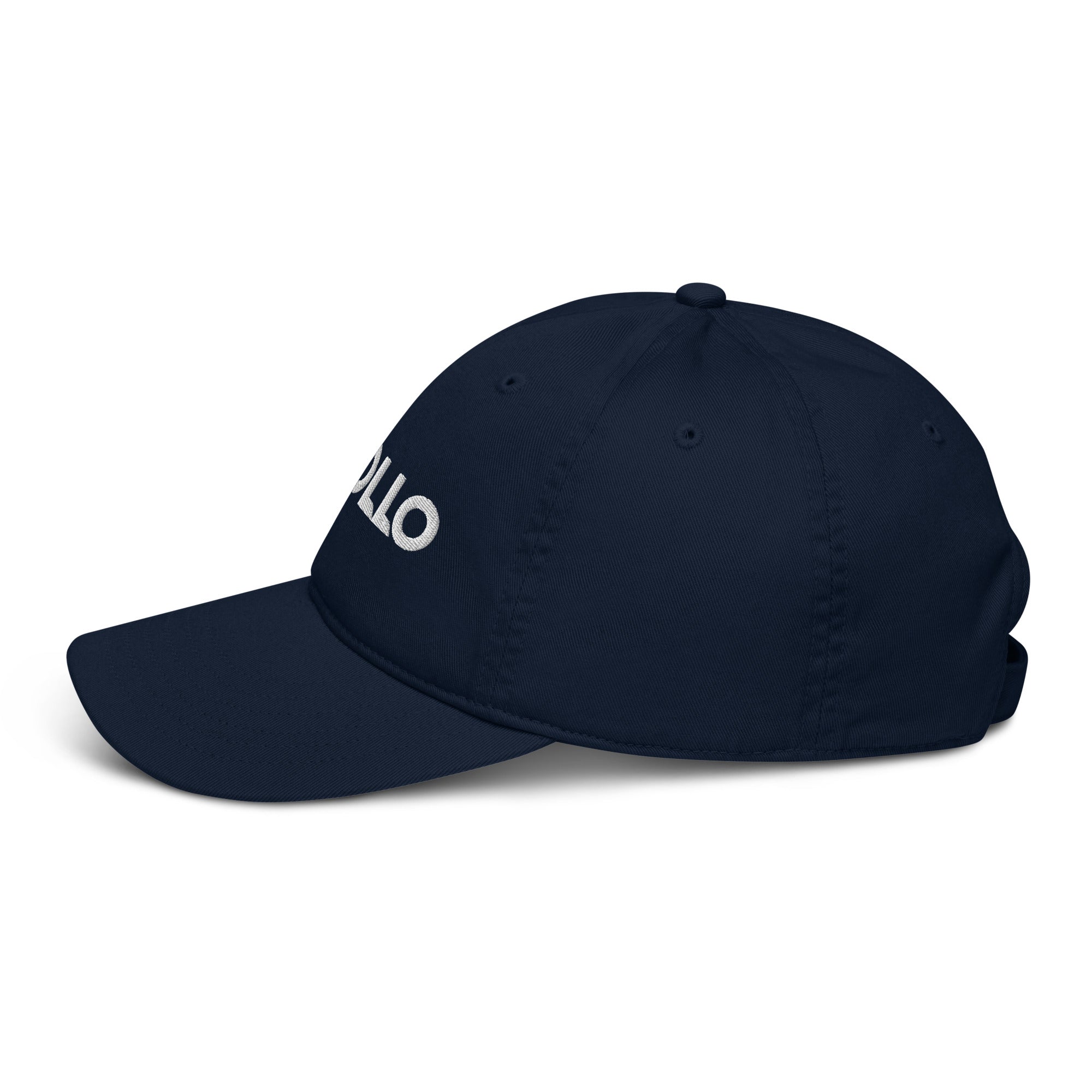 Organic Cotton Dad Hat 6-Panel Adjustable Baseball Cap